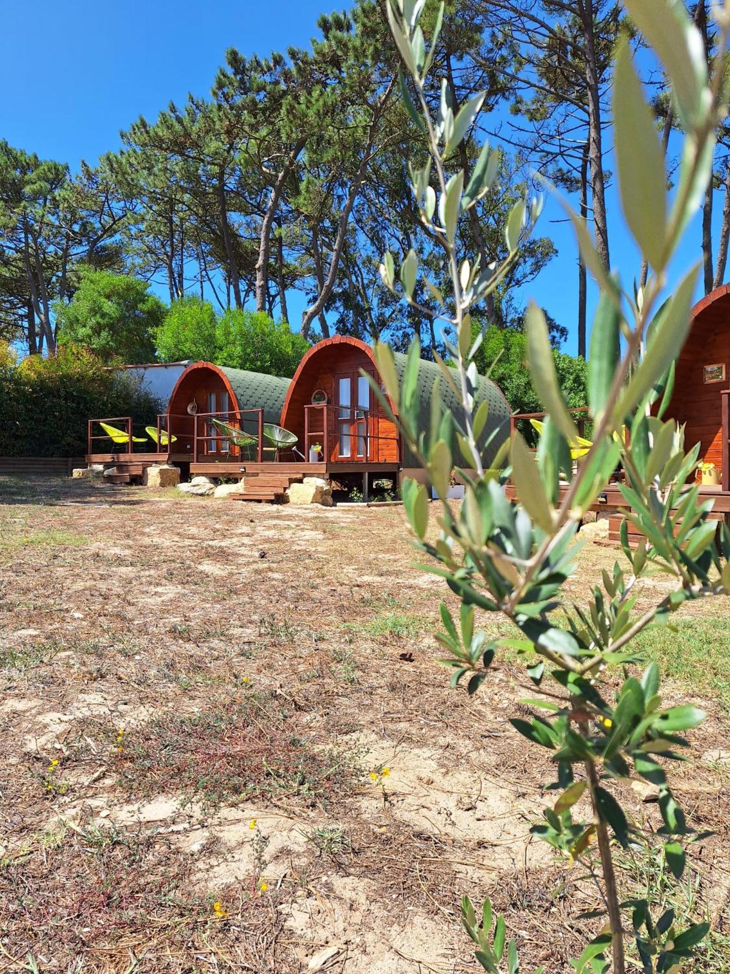 ホテル Vila Bastardo Glamping Pod シントラ エクステリア 写真